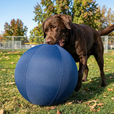 Sericora la Palla Indistruttibile per Cani Distruttori